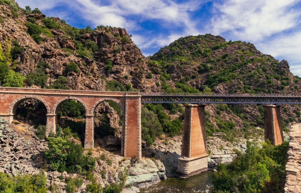 punjabi-learn-brige