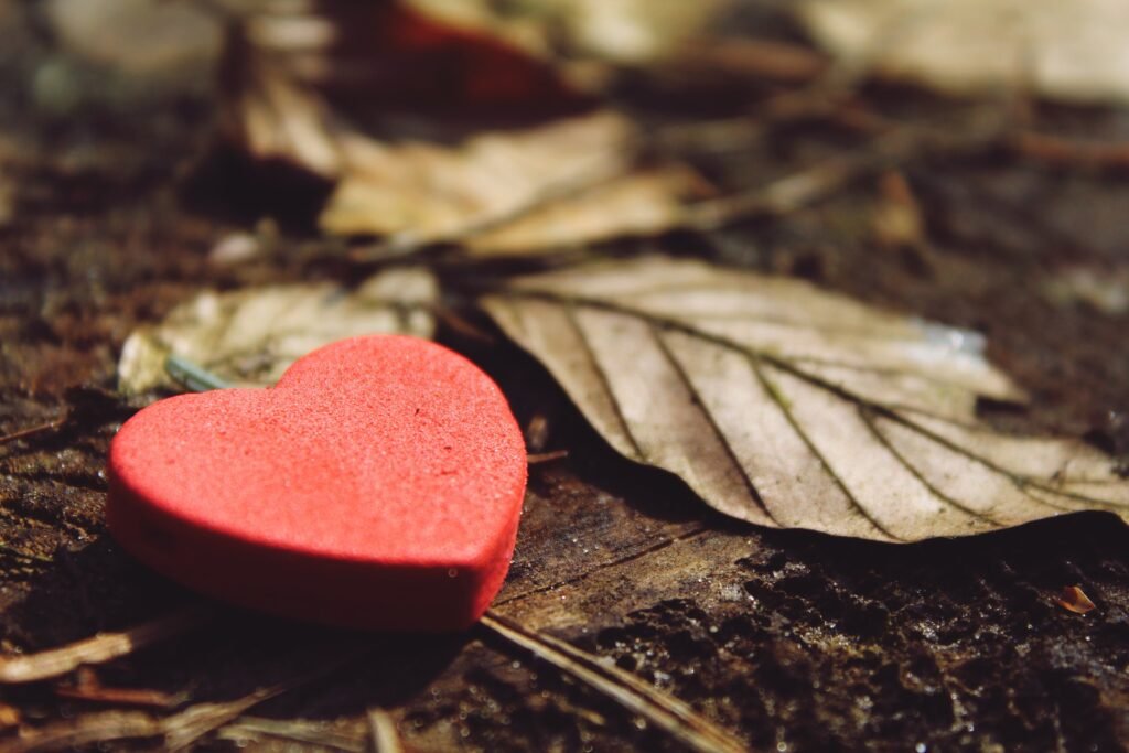 punjabi-learn-heart