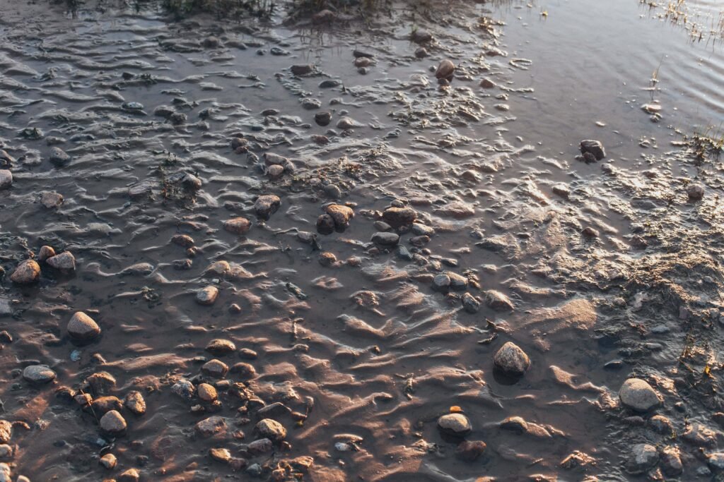 punjabi-learn-mud