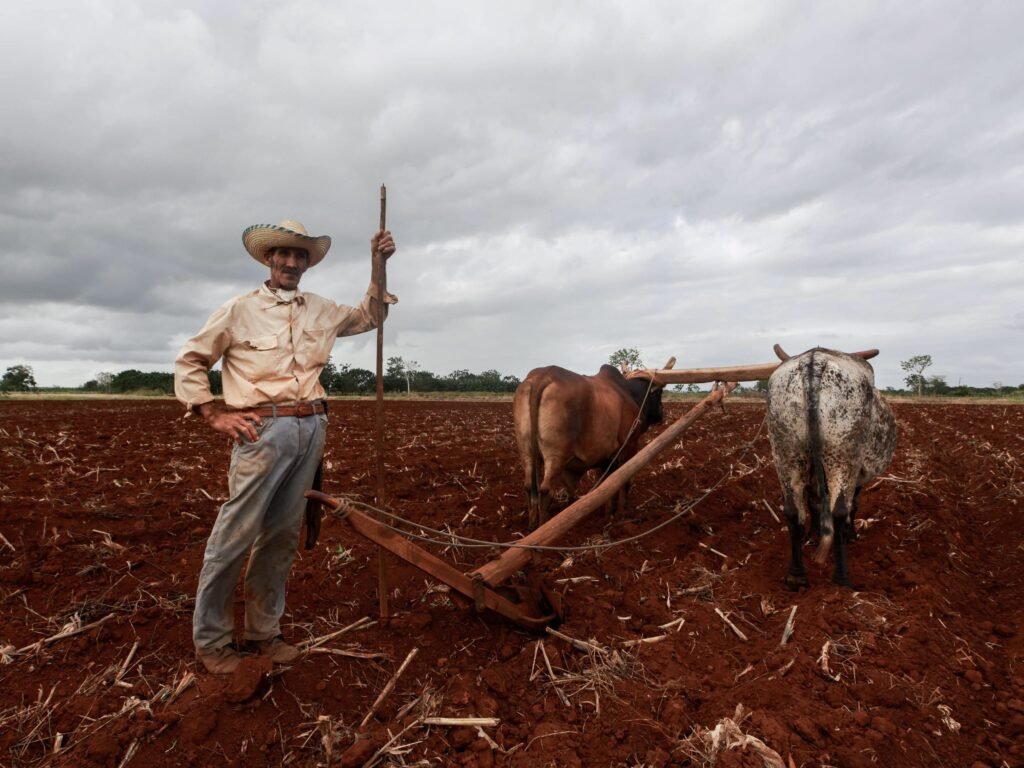 punjabi-learn-plow